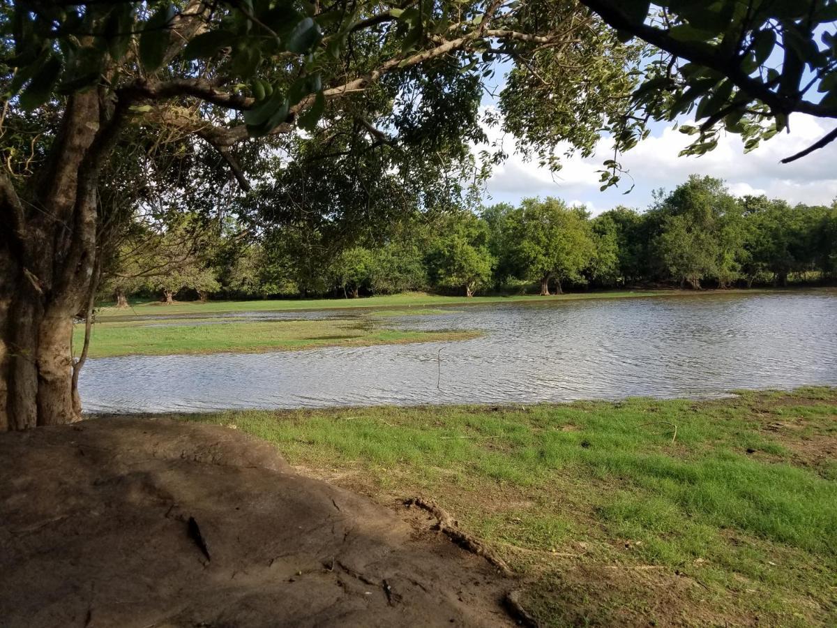 סיגירייה Sigiri Holiday Villa מראה חיצוני תמונה