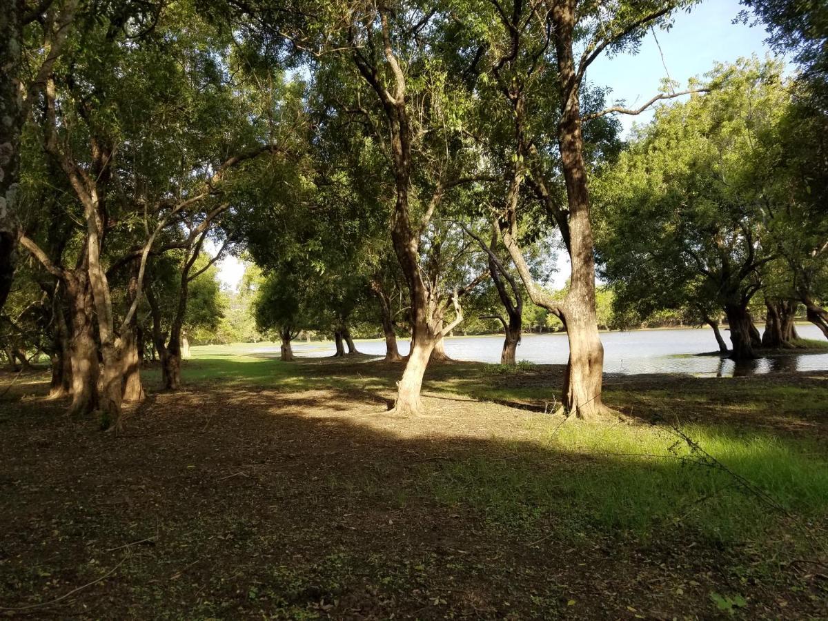 סיגירייה Sigiri Holiday Villa מראה חיצוני תמונה